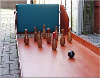 economy skittle alley complete with pins and balls